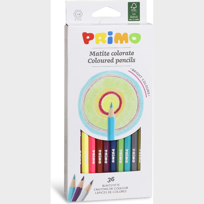 Primo - Farveblyanter 36 Stk