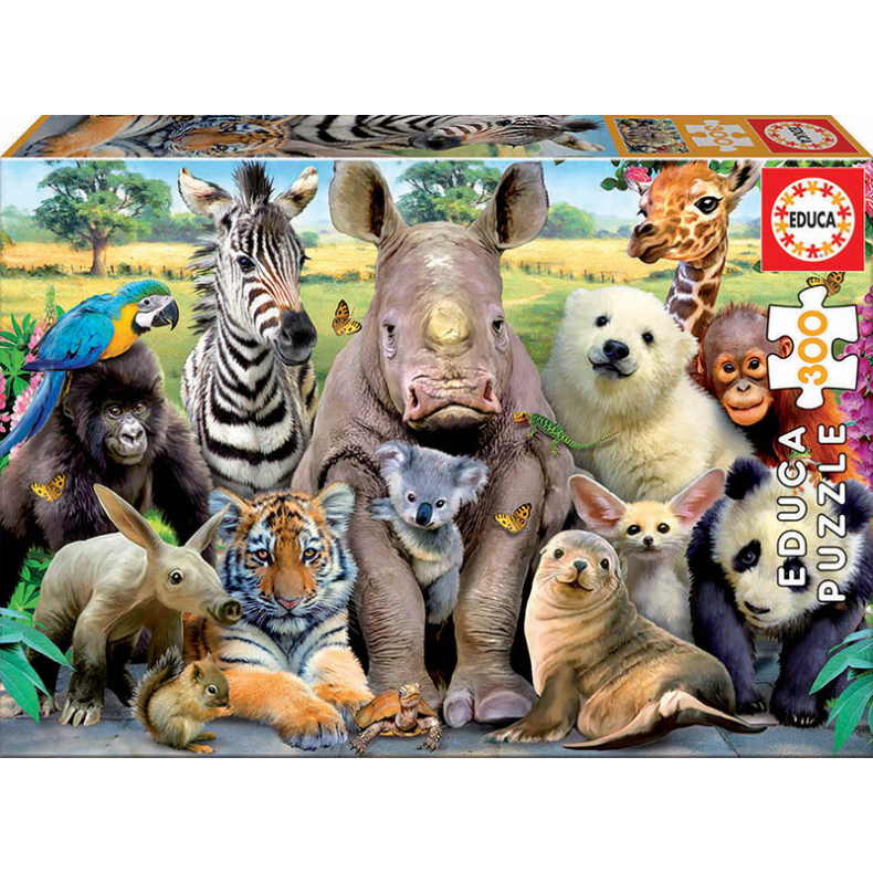 educa | Puslespil m. 300 brikker - rets klassebillede