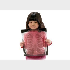 Roylco | Rntgenbilleder - Menneske, 18 stk