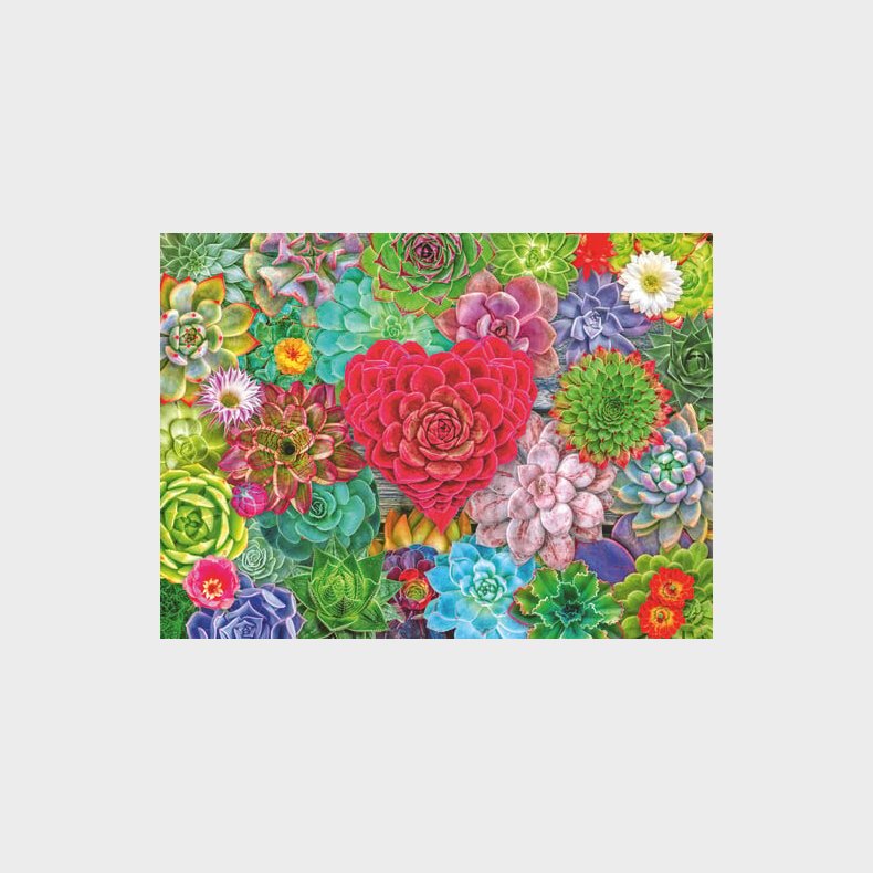Ravensburger Puslespil - Sukkulent K�rlighed - 500 Brikker