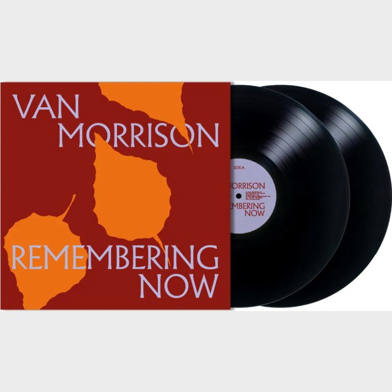 Van Morrison - Remembering Now - Vinyl Lp