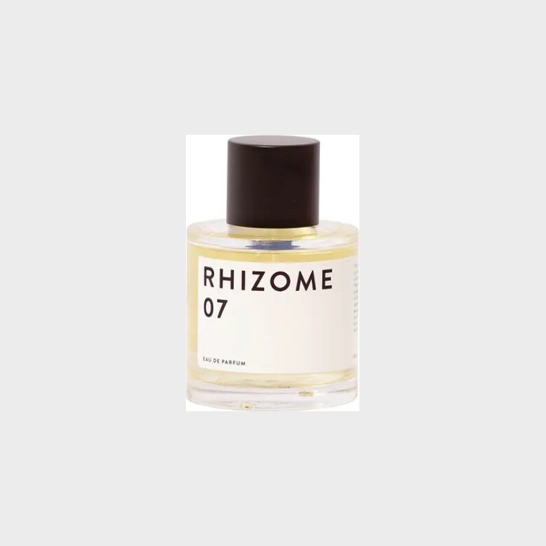 Rhizome - 07 Edp 100ml