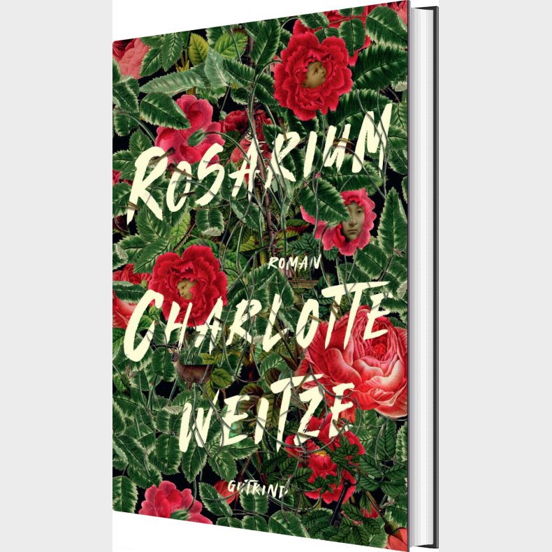 Rosarium - Charlotte Weitze - Bog