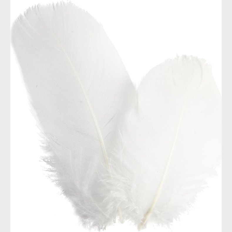 Rundfjer - Gs - L 5-8 Cm - Hvid - 3 G