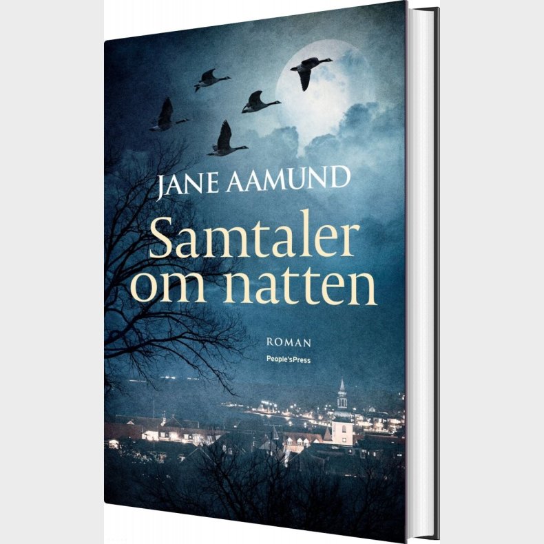 Samtaler Om Natten - Jane Aamund - Bog