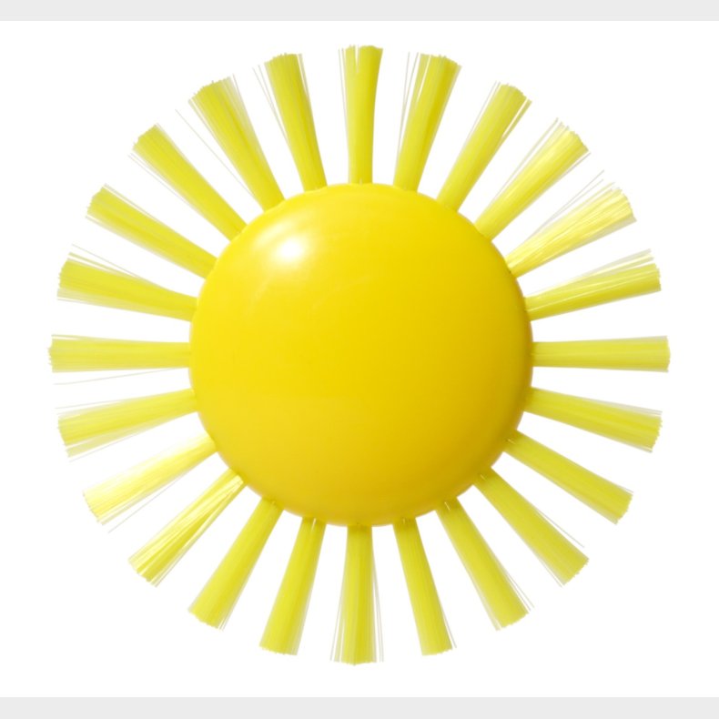 Moluk | Sanseb�rste Plu� - Sol