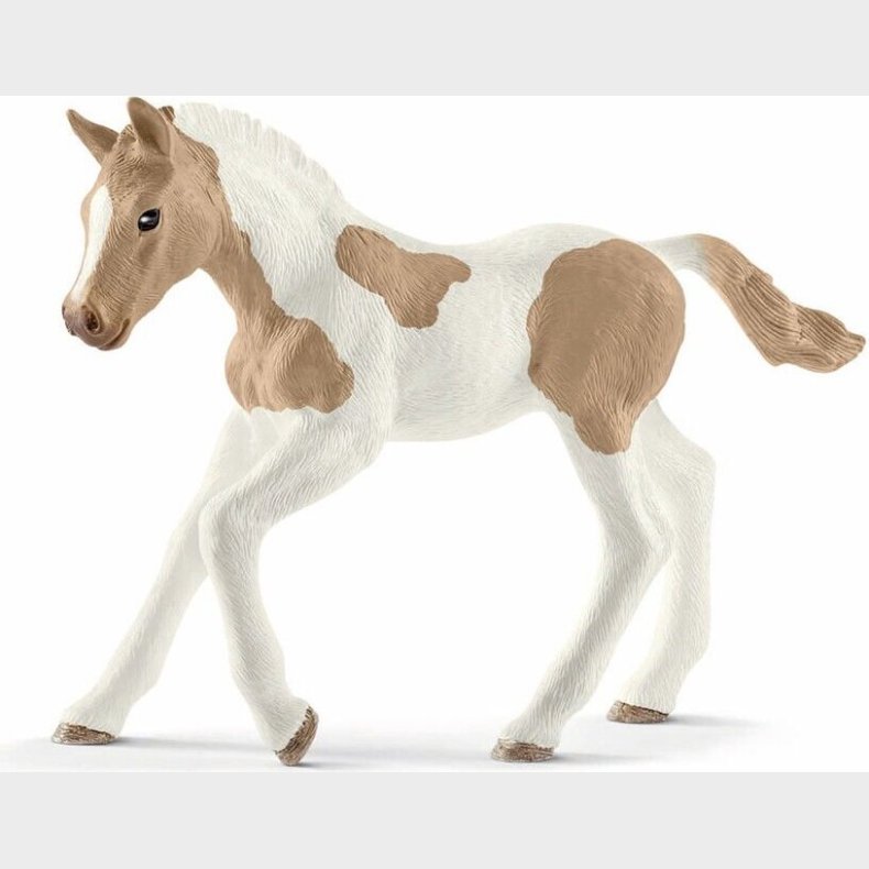 Schleich - Paint Horse Fl