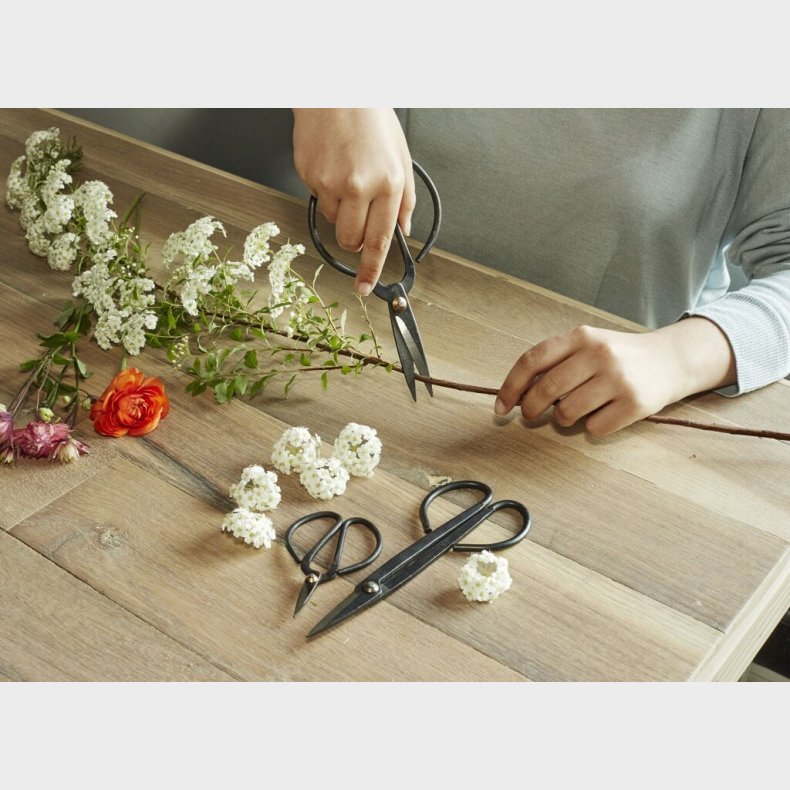 Kikkerland - Havesakse S�t - 3 Stk