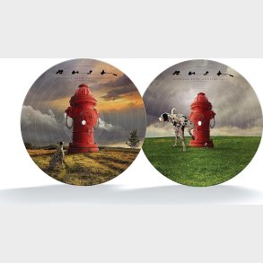 Rush - Signals - 40th Anniversary - Vinyl Lp