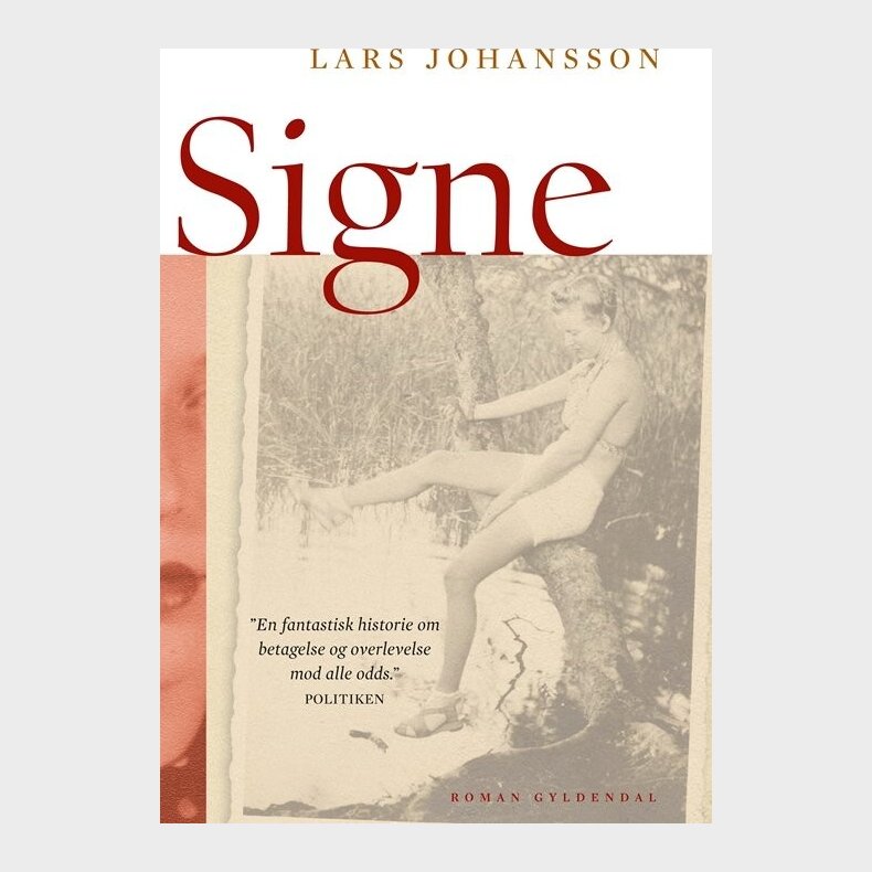 Signe - Lars Johansson - Bog
