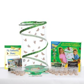 InsectLore | Sommerfuglehave m. 33 fritleverede larver