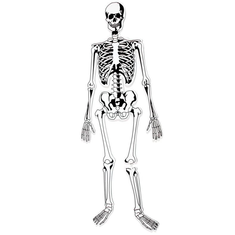 Learning Resources | Gulvpuslespil - Skelet