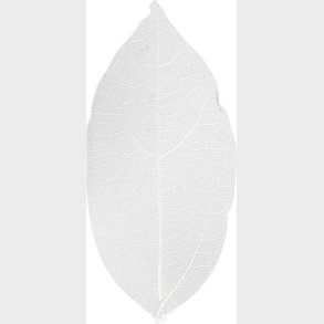 Skeletblade - L 6-8 Cm - Hvid - 20 Stk.