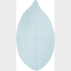 Skeletblade - L 6-8 Cm - Lysebl - 20 Stk.