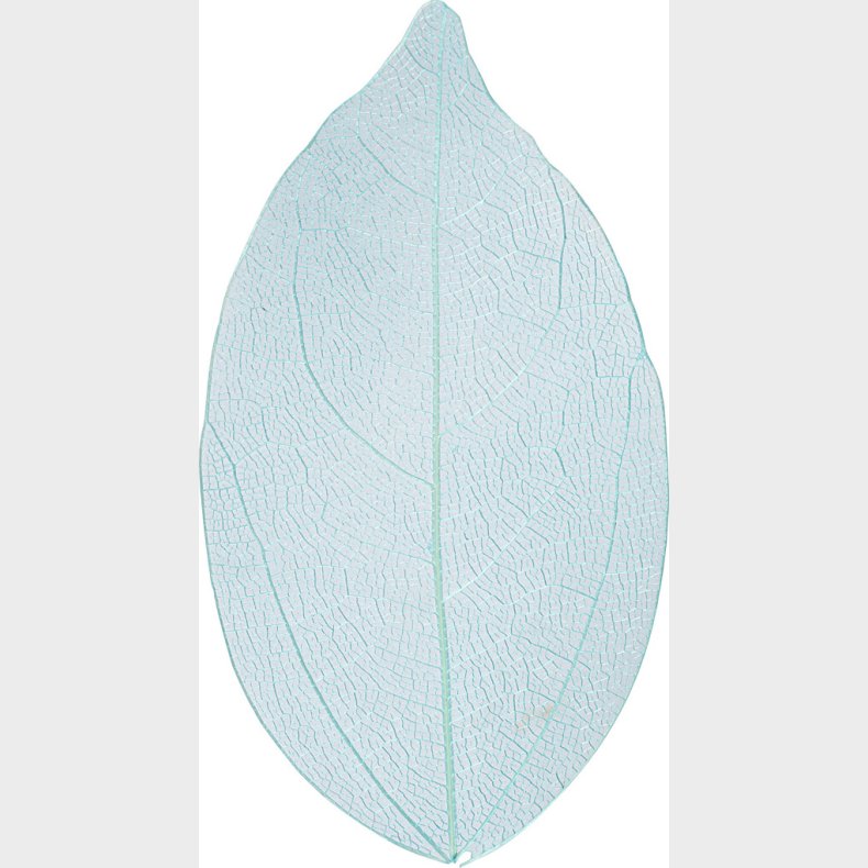 Skeletblade - L 6-8 Cm - Lysebl - 20 Stk.