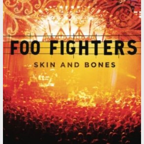 Foo Fighters - Skin And Bones - Vinyl Lp