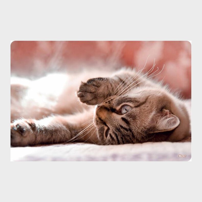 Skriveunderlag 60 X 40 Cm - Little Cat