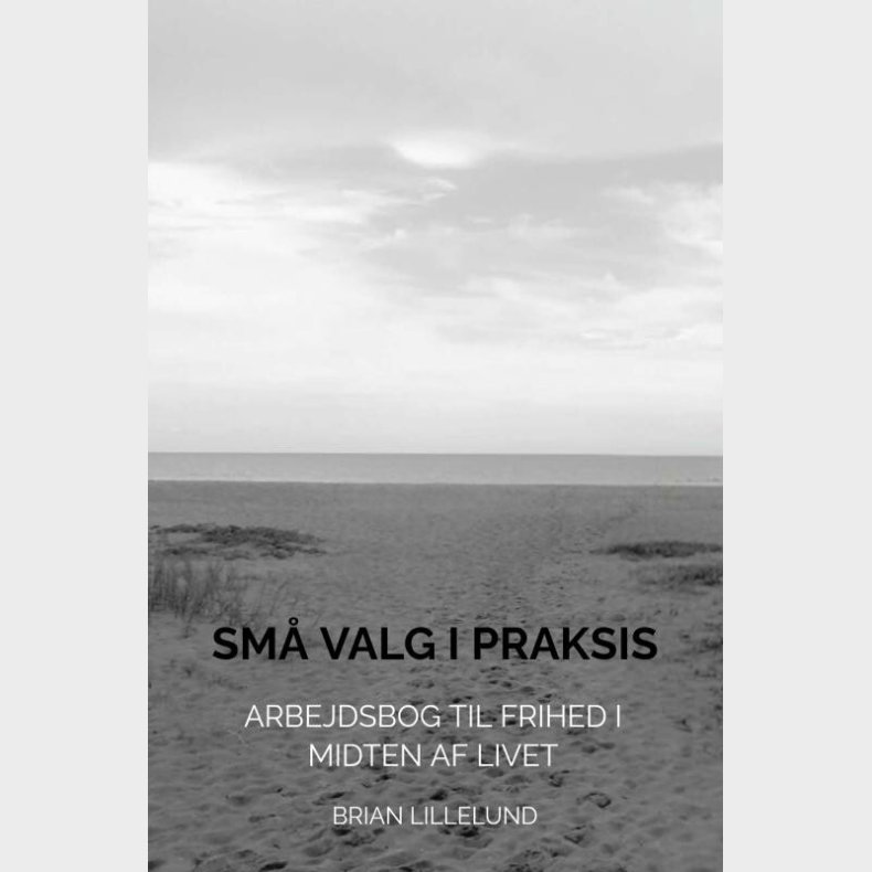 Sm� Valg I Praksis - Brian Lillelund - Bog