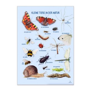 Ciha | Plakat 50 x 70 cm - Smdyr omkring dig Tysk