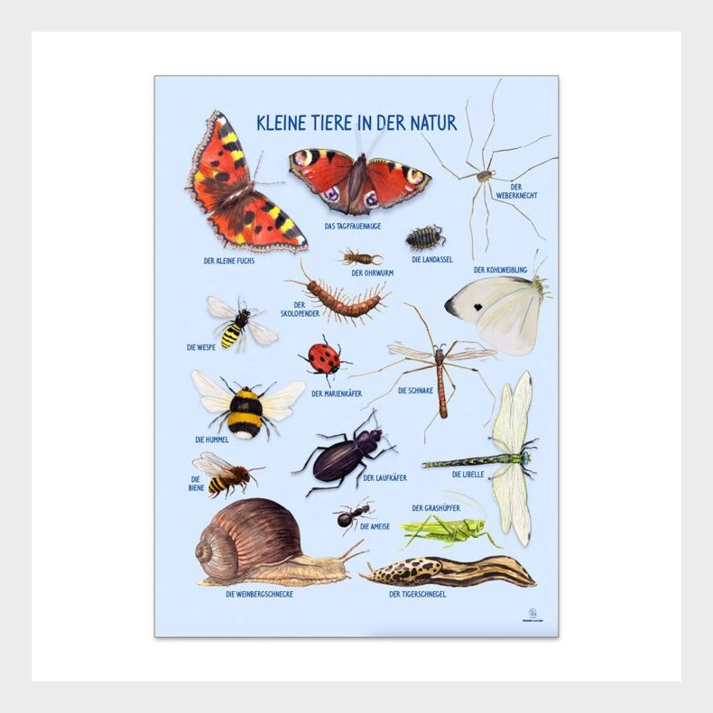 Ciha | Plakat 50 x 70 cm - Smdyr omkring dig Tysk