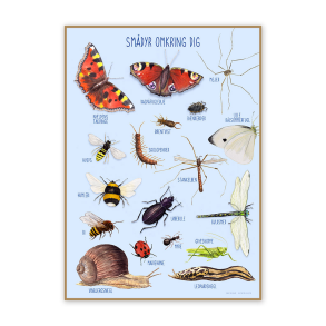 Plakat 50 x 70 cm - Smdyr omkring dig Dansk