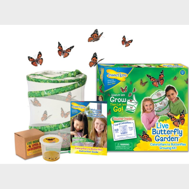 InsectLore | Sommerfuglehave m. 5 fritleverede larver