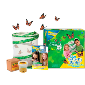 InsectLore | Sommerfuglehave m. 5 larver