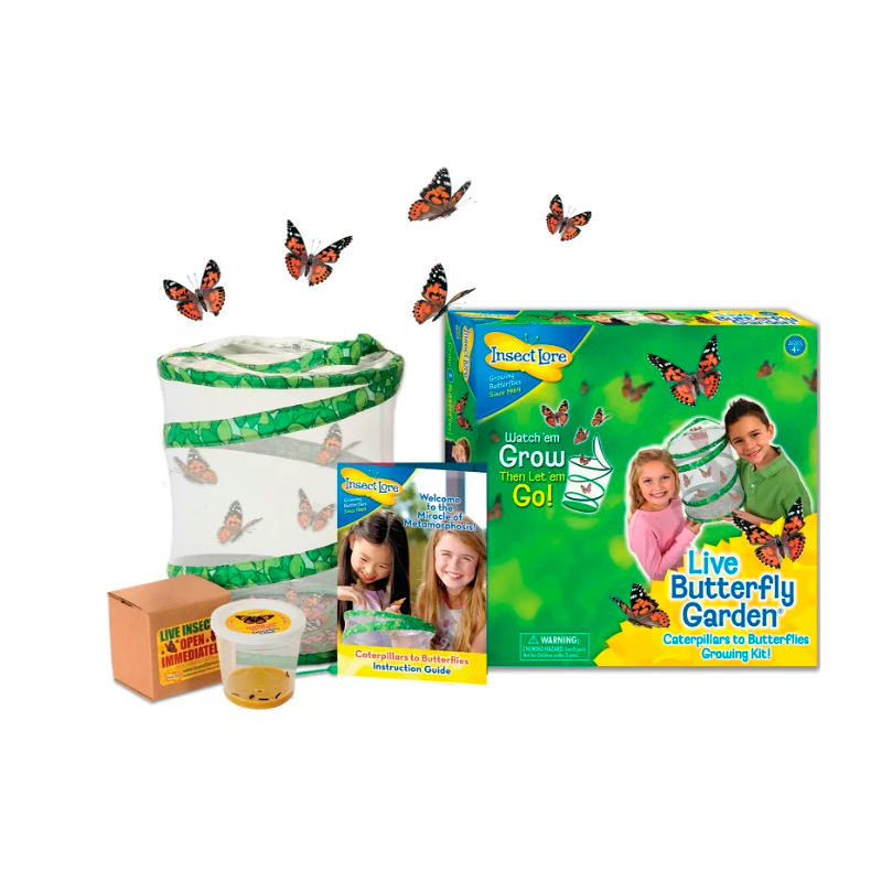 InsectLore | Sommerfuglehave m. 5 larver