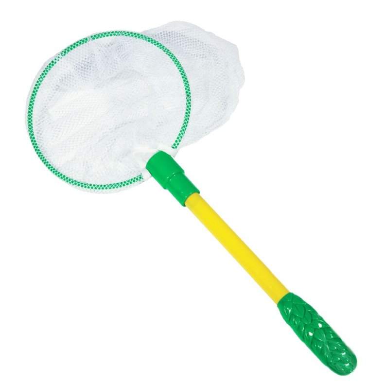 InsectLore | Sommerfuglenet