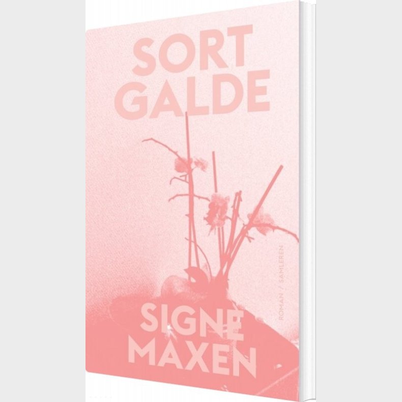 Sort Galde - Signe Maxen - Bog