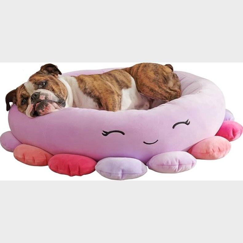 Squishmallows - Pet Bed - Octopus 76 Cm (jpt0085-l)