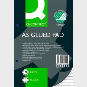Standardblok A5 Ternet 2 Huller - Q Connect