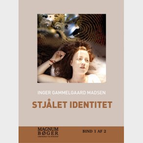 Stj�let Identitet (storskrift) - Inger Gammelgaard Madsen - Bog