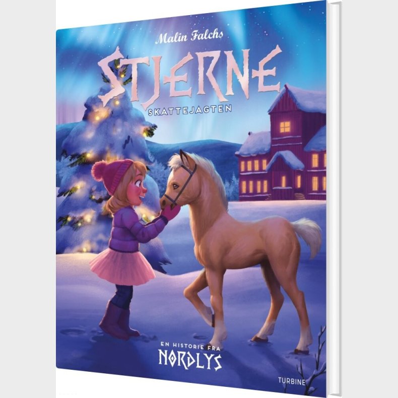 Stjerne - En Historie Fra Nordlys - Malin Falch - Bog