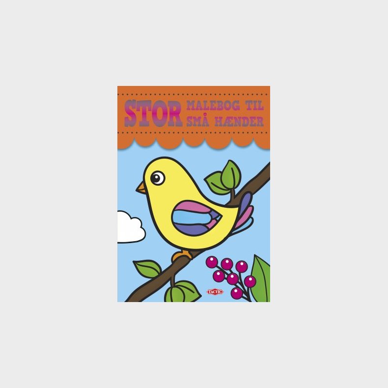 Stor malebog til sm hnder