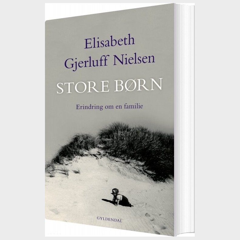 Store Brn - Elisabeth Gjerluff Nielsen - Bog