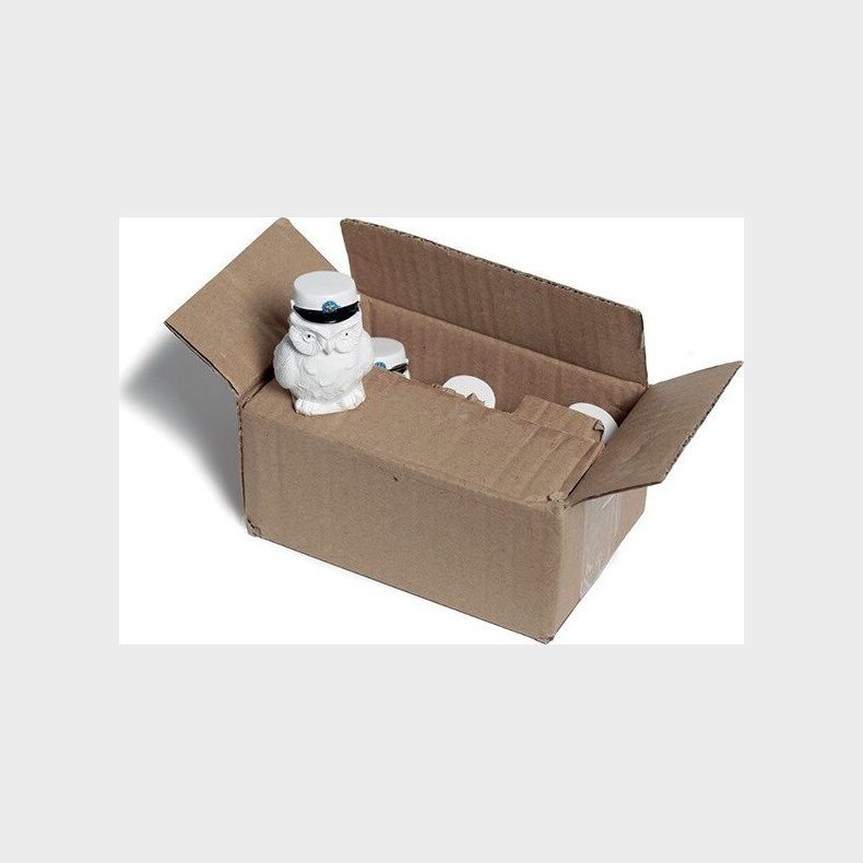 Studenter Ugler Med Bl� Hue - 6 Store Stk