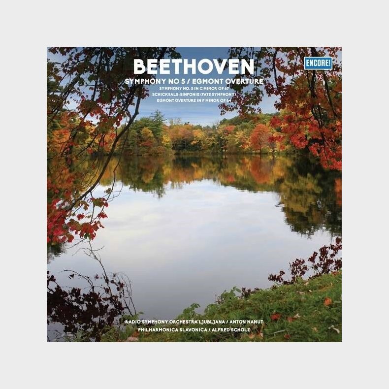 Beethoven - Symphony No. 5 - Vinyl Lp