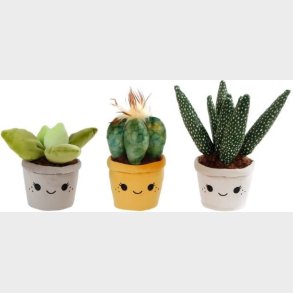 Take Me Home - Grn Plys Plante