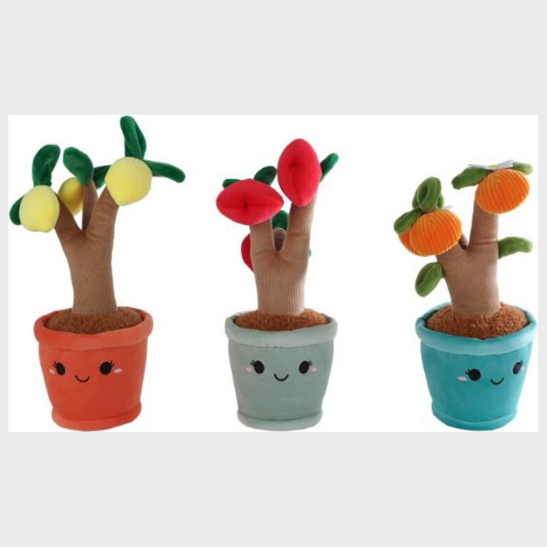 Take Me Home - Plys Frugttr