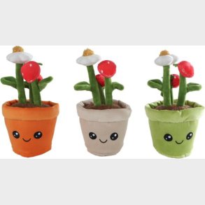 Take Me Home - Plys Jordbrplante