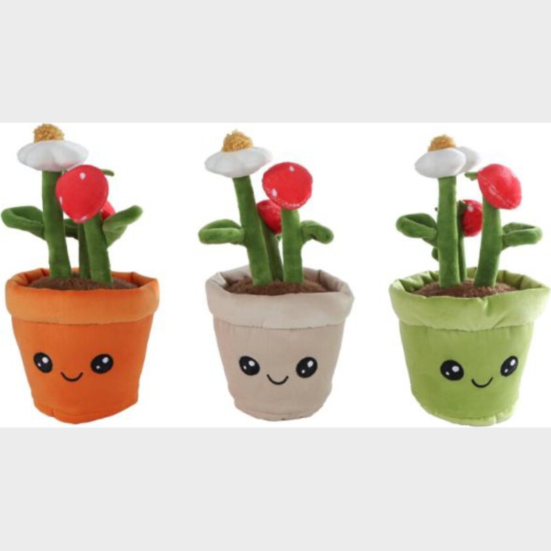 Take Me Home - Plys Jordbrplante