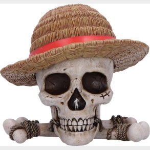 Tbn One Piece Luffy Jolly Roger Box