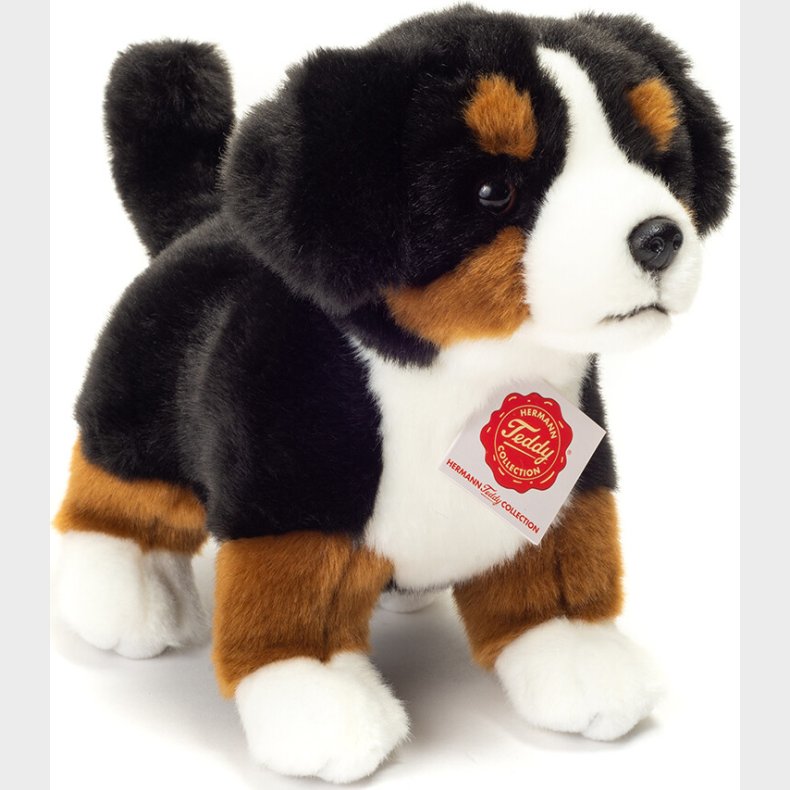 Teddy Hermann - Berner Sennen Hund Hvalp - 23 Cm - Bamse