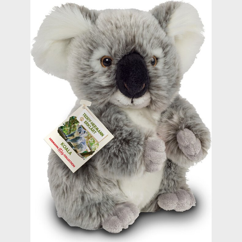 Teddy Hermann - Koala Bamse - 21 Cm