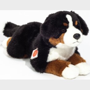 Teddy Hermann - Liggende Berner Sennen 40 Cm