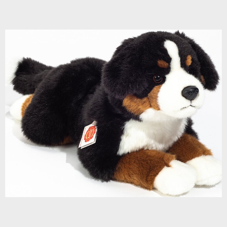 Teddy Hermann - Liggende Berner Sennen 40 Cm