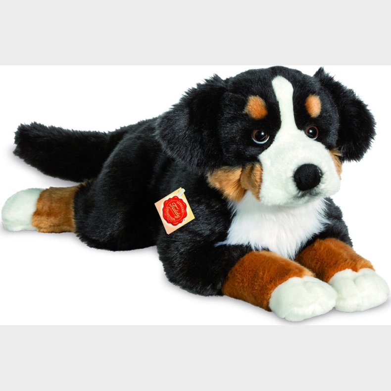 Teddy Hermann - Liggende Berner Sennen 60 Cm