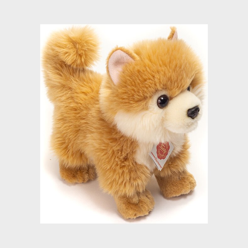 Teddy Hermann - Miniature Spidshund 22 Cm