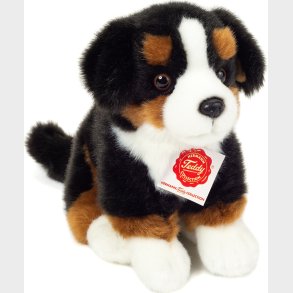 Teddy Hermann - Berner Sennen Hund - Siddende - 21 Cm